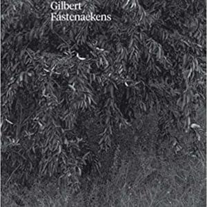 Fastenaekens, Gilbert - In Silence