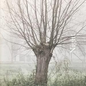 Lathauwer, Dieter De - Nightlife