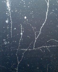 Koo, Bohnchang - Slow Talk - Catalogue Ivorypress Space, Madrid, 2013